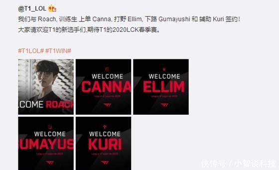 维尼修斯和 维尼修斯和